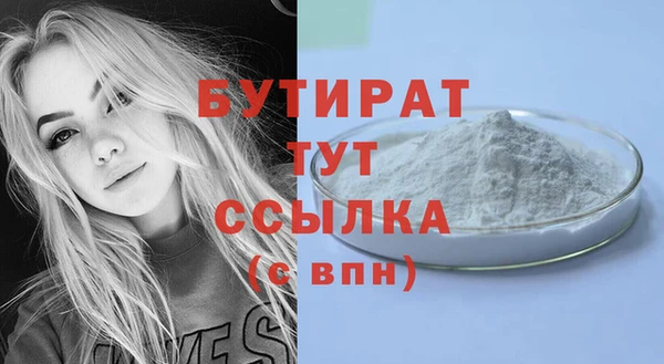 индика Каменногорск