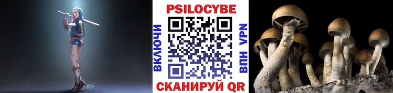 hydra как войти  Козельск  Галлюциногенные грибы GOLDEN TEACHER  наркота 